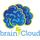brainCloud icon