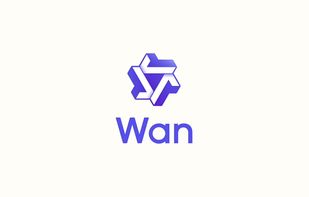 Wan screenshot 1