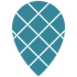 Pineqone icon