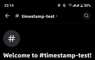 Discord Timestamp Inserter screenshot 1
