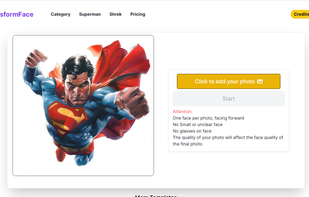 TransformFace screenshot 1