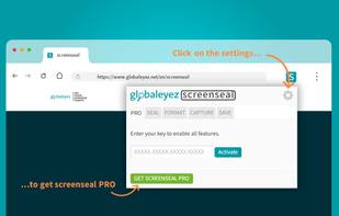 ScreenSeal screenshot 2