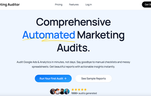 Marketing Auditor screenshot 1