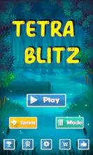 Classic Tetra Blitz Puzzle screenshot 1