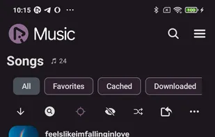 RiMusic screenshot 3