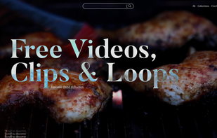 lifeofvids screenshot 1