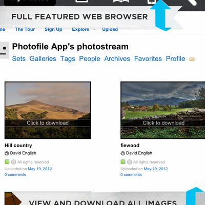 web gallery downloader pro free