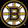 Boston Bruins Icon