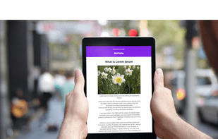 New WordPress post notification email campaign