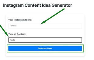User niche input and content type for idea Generattiot