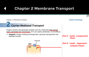 Becker USMLE GuideMD and QMD screenshot 1