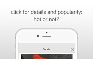 wydr.co screenshot 1