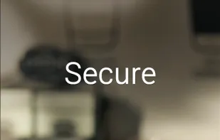 Samsung Pay screenshot 2