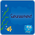 Seaweed FS icon