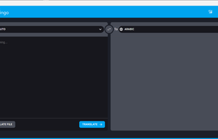 LocaLingo screenshot 1