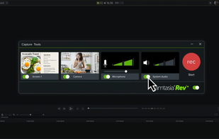 Camtasia screenshot 3