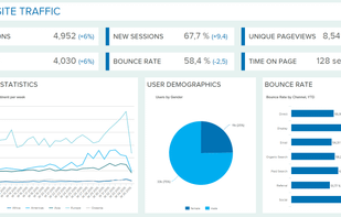 datapine screenshot 1