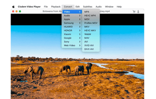 convert to other formats