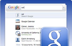 Quick Search Box screenshot 1