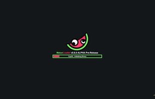 MelonLoader screenshot 1