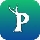 PalDB - Database for PalWorld icon