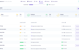 Inside the app: The Health section where you can fix issues on your site