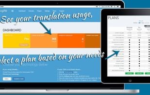 ConveyThis screenshot 1