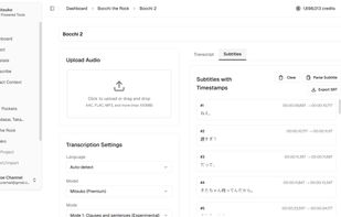 Audio Transcription