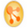Lotus Connections icon