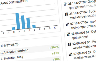 Analytics Portfolio screenshot 1