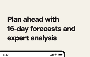 Surfline screenshot 3