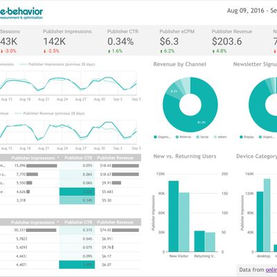 Sample dashboard, showing KPIs and custom branding in the report