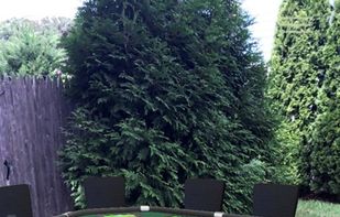 Reality Browser screen-cap: Life-Size Products