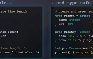 Nim (programming language) screenshot 1