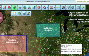 MapBusinessOnline.com screenshot 1
