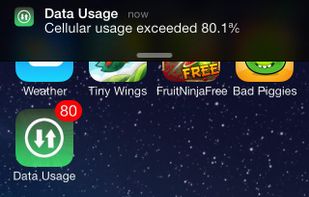 Data Usage screenshot 2