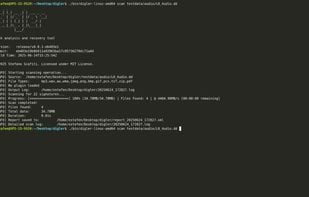 Digler screenshot 1