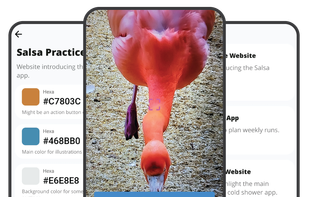 Colors Capture Pro screenshot 1