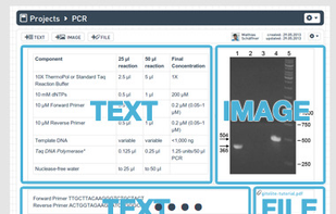 labfolder screenshot 1