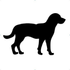 Downhound icon