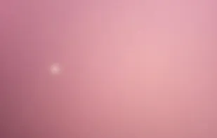 RMB Menu - Exit and Hotkey