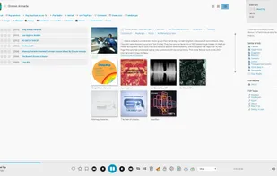 Madsonic screenshot 3