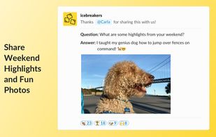 Icebreakers by LarkApps screenshot 2