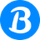 BlueRoms icon