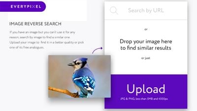 Search by image