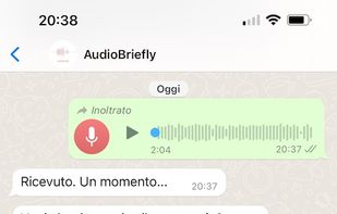 AudioBriefly screenshot 2