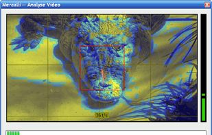 Mercalli ProDAD screenshot 1