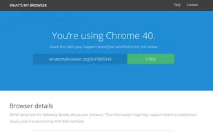 What's My Browser screenshot 1