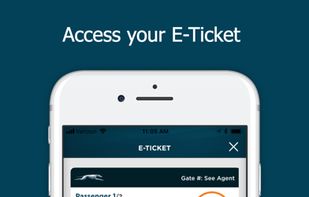 Greyhound screenshot 1