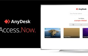 AnyDesk screenshot 1